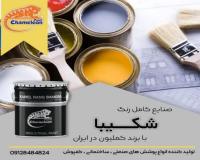 فروش ویژه واش پرایمر اسیدی با بالاترین کیفیت
