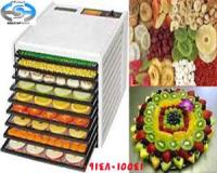 دستگاه چیپس کن میوه فروشگاه شایان کالا