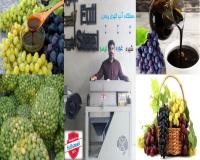 آب گوجه گیری