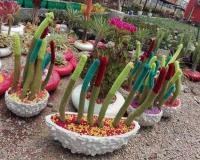 فروش دستگاه مخمل پاش و پودر مخمل