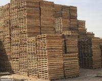 خریدار پالت چوبی ، ضایعات چوب و تخته