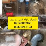 نشتیابی نشت یابی تبریز لوله کشی تعمیرات نصبیات