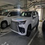 همراه شما در واردات انواع خودرو کارکرده از امارات