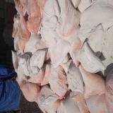 گچ و خاک کازرون /  قیمت گچ و خاک کازرون