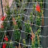 توری نگهدارنده و قیم گیاهان زینتی