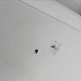 تعمیر رطوبت سقف ساختمان