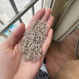 تولید کننده گرانول عسلی تیره با قیمت مناسب