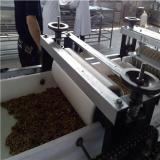 خط تولید کنجدی