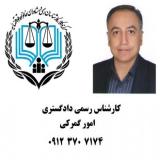 کارشناس گمرکی (کارشناس رسمی دادگستری امور گمرکی)