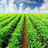 فروش شرکت رتبه 5 کشاورزی و فضای سبز اعتبار کامل 