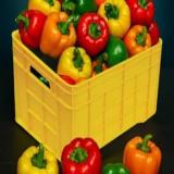 سبد و جعبه پلاستیکی حمل ماهی و فلفل دلمه 20 و 25 کیلویی