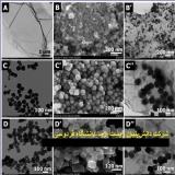 فروش انواع محصولات نانو مواد در ایران usnano