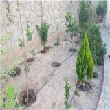 طراحی و اجرای سیستم های آبیاری قطره ای و بارانی