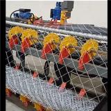 دستگاه گابیون.دستگاه فنس.دستگاه سیم خاردار