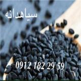 فروش سیاهدانه