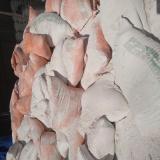 سایت شرکت سیمان سفید نیریز