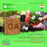 کوکوچیپس وارداتی هندی