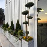 فلاور باکس بتنی