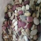 فروش ضایعات لوبیا