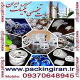 انواع پکینگ پال رینگ استیل و فلزی