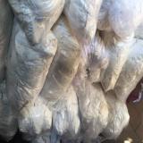 فروش پارچه و بافت جهت حلاجی،