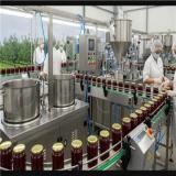 فروش کارخانه مربا در گیلان