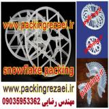 Plastic Intalox Snowflake Ring
