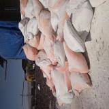 خرید سیمان سفید نیریز از بورس