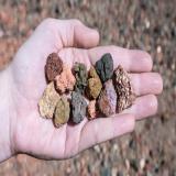 توزیع انواع پوکه در شیراز