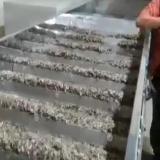 خشک کن پله ای آجیل