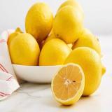 فروش و خرید تفاله لیمو تناژ و تولید روز
