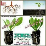 ترکیب ریشه زایی و قلمه زنی