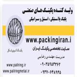 پال رینگ استیل و راشینگ رینگ استیل