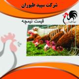 فروش مرغ نیمچه بومی - استان تهران