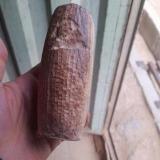 مدل منشور چوبی کوروش