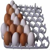 انوع شانه و سبد دستگاه جوجه کشی