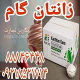 زانتان گام