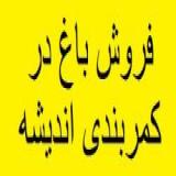 شهر قدس زرنان 5000 متر باغ در  زرنان