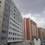 تولید و فروش نمای مینرال، کنیتکس، رنگ بافت دار