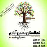 فروش انواع نهال میوه و زینتی و درختچه همیشه سبز