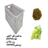 فروش سبد 20 کیلویی انگور - سبد کشمش - سبد شبکه ریز