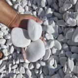 قلوه سفید رودخانه ای