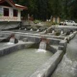 احداث استخرهای پرورش ماهی با ورقهای ژئوممبران