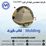 فروش سیلیکون قالب گیری،  فروش سیلیکون قالبگیری RTV2