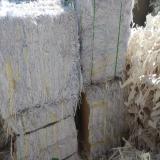 فروش پوشال بسته بندی