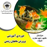 دوره آموزشی پرورش ماهیان زینتی