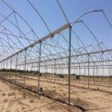 ساخت گلخانه | سازه گلخانه | گلخانه ساز|گلخانه سازی