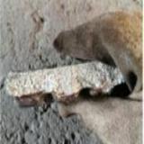 شمش و آمیژان فسفر مس