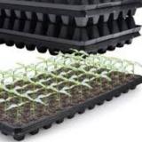 فروش سینی کشت نشا