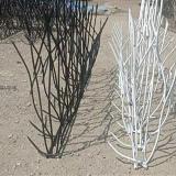  بهترین قیمت حفاظ شاخ گوزنی در بازار با کیفیت عالی 